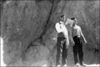 سایر عکس ها